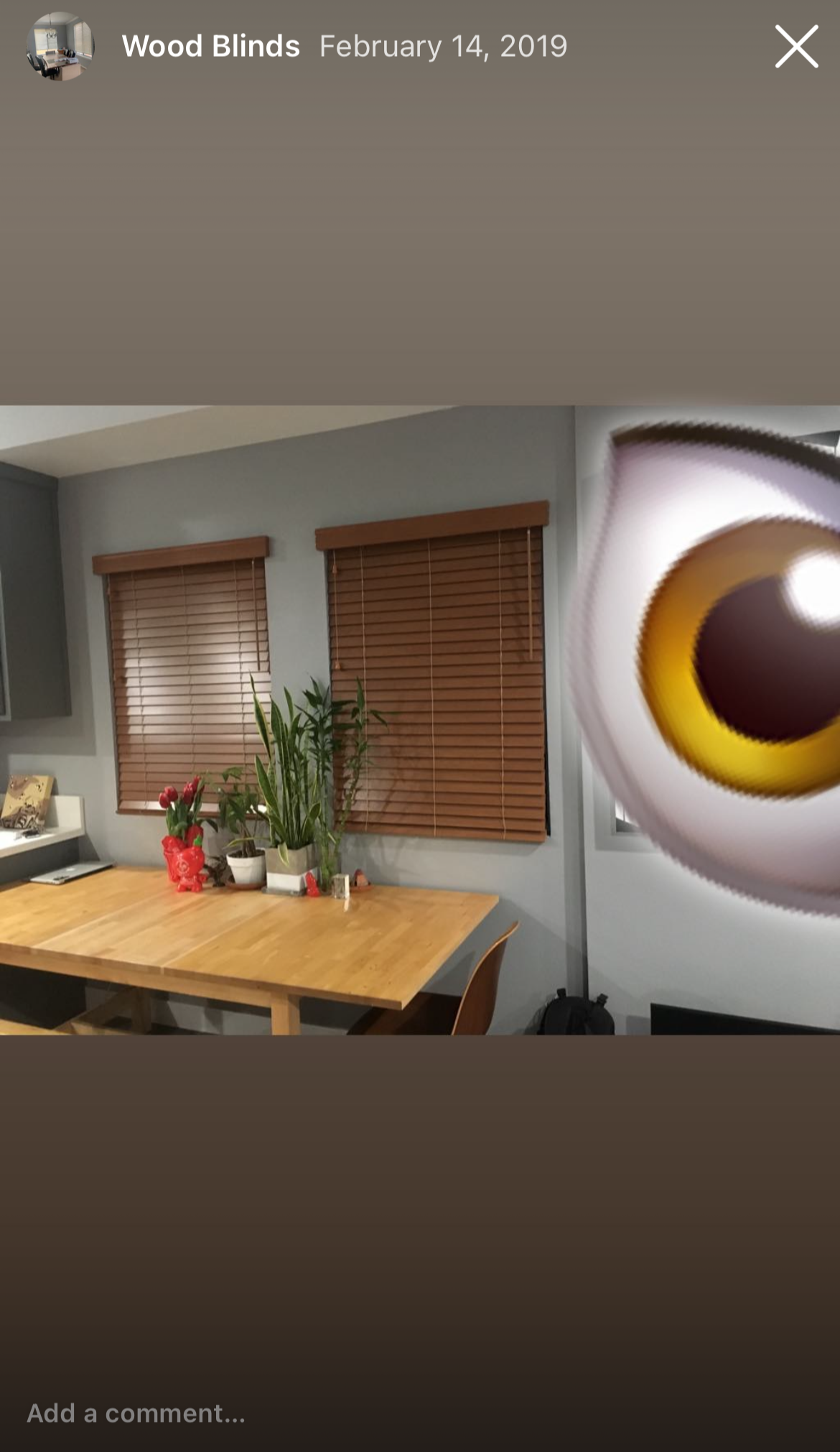 ShadeCity2020 Wood Blinds Light Oak