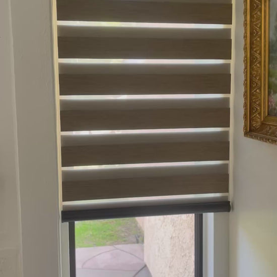 Motorized zebra roller shades adjusting light and privacy