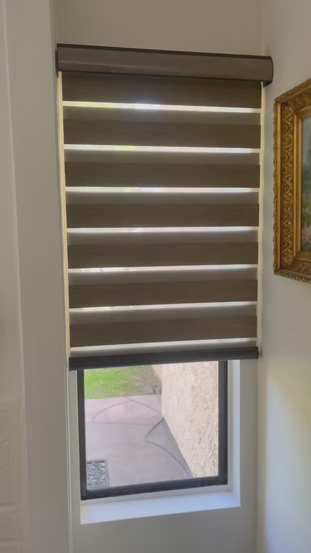 Motorized zebra roller shades adjusting light and privacy